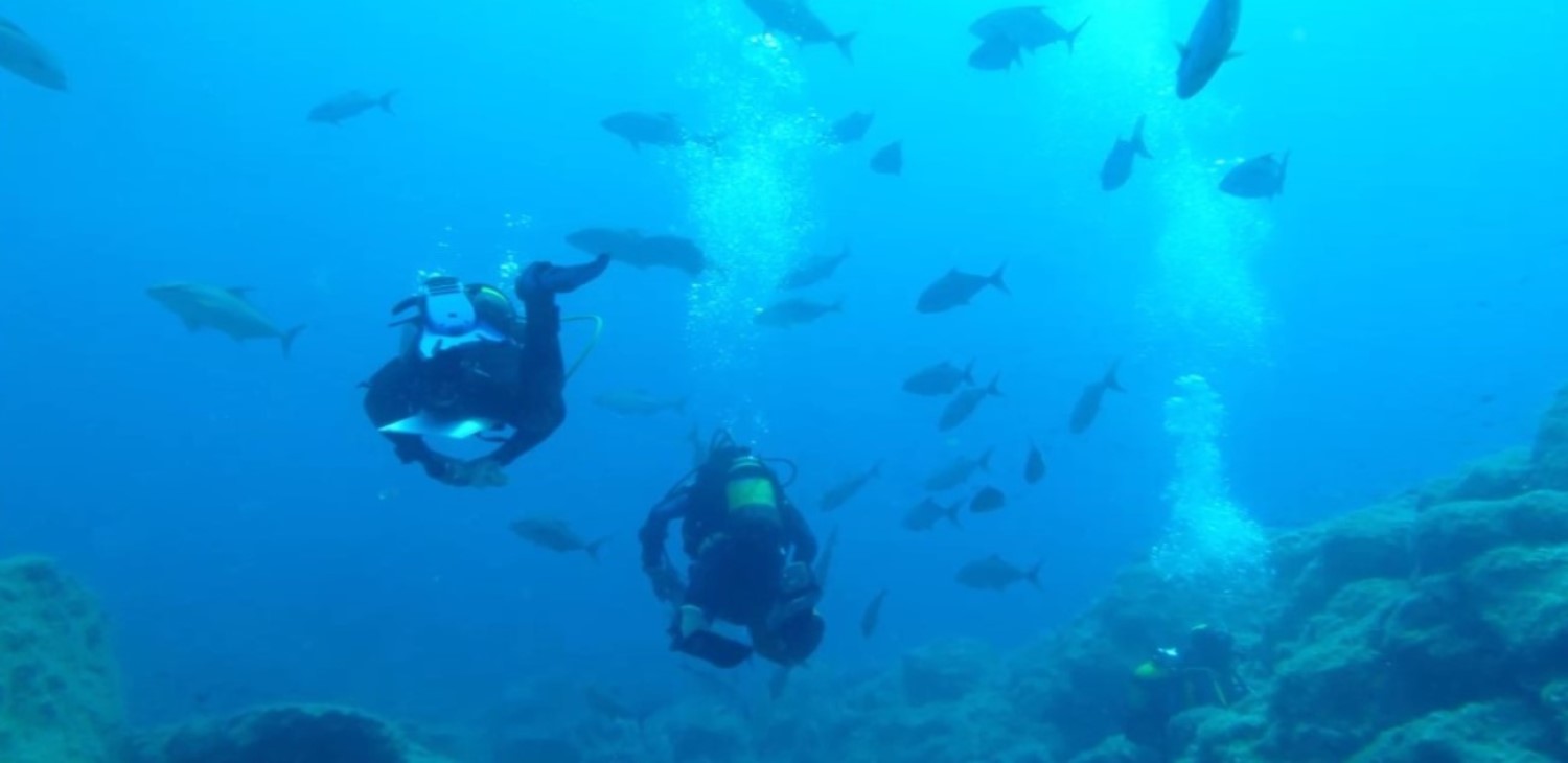 Diving1